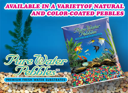 Aquarium Gravel Aquarium Gravel
